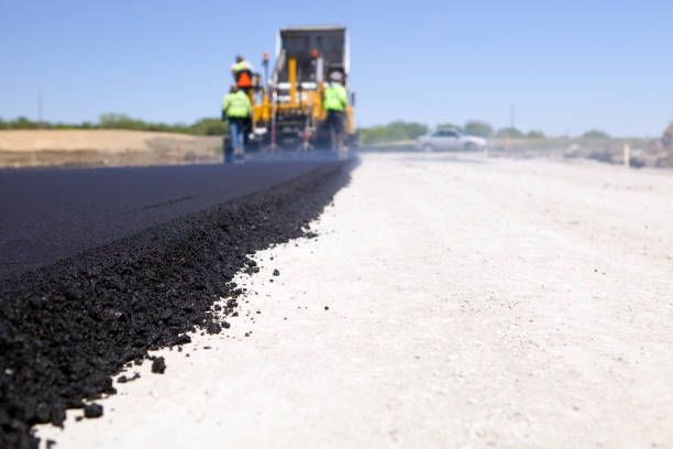 Environmentally-friendly driveway pavers